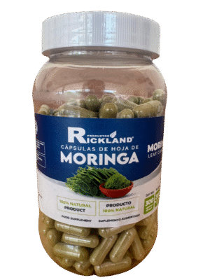hoja de moringa