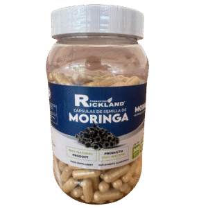semilla de moringa