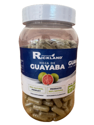 capsula de hoja de guayaba