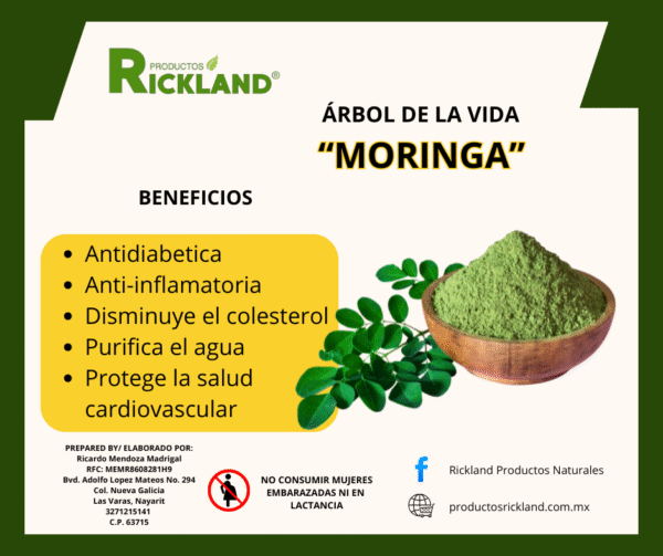 presentacion bolsas Capsula de hoja de moringa