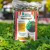 hoja de moringa