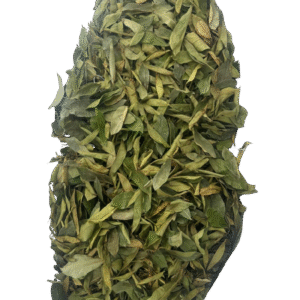hoja de guanábana deshidratada