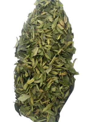 hoja de guanábana deshidratada