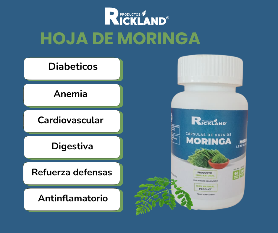 Hoja de Moringa - Image 2